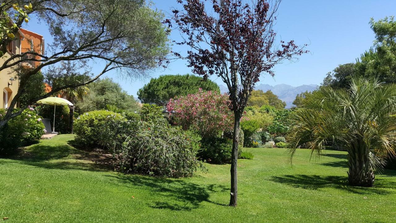 Résidence A Merula Calvi (Corsica) Exterior foto